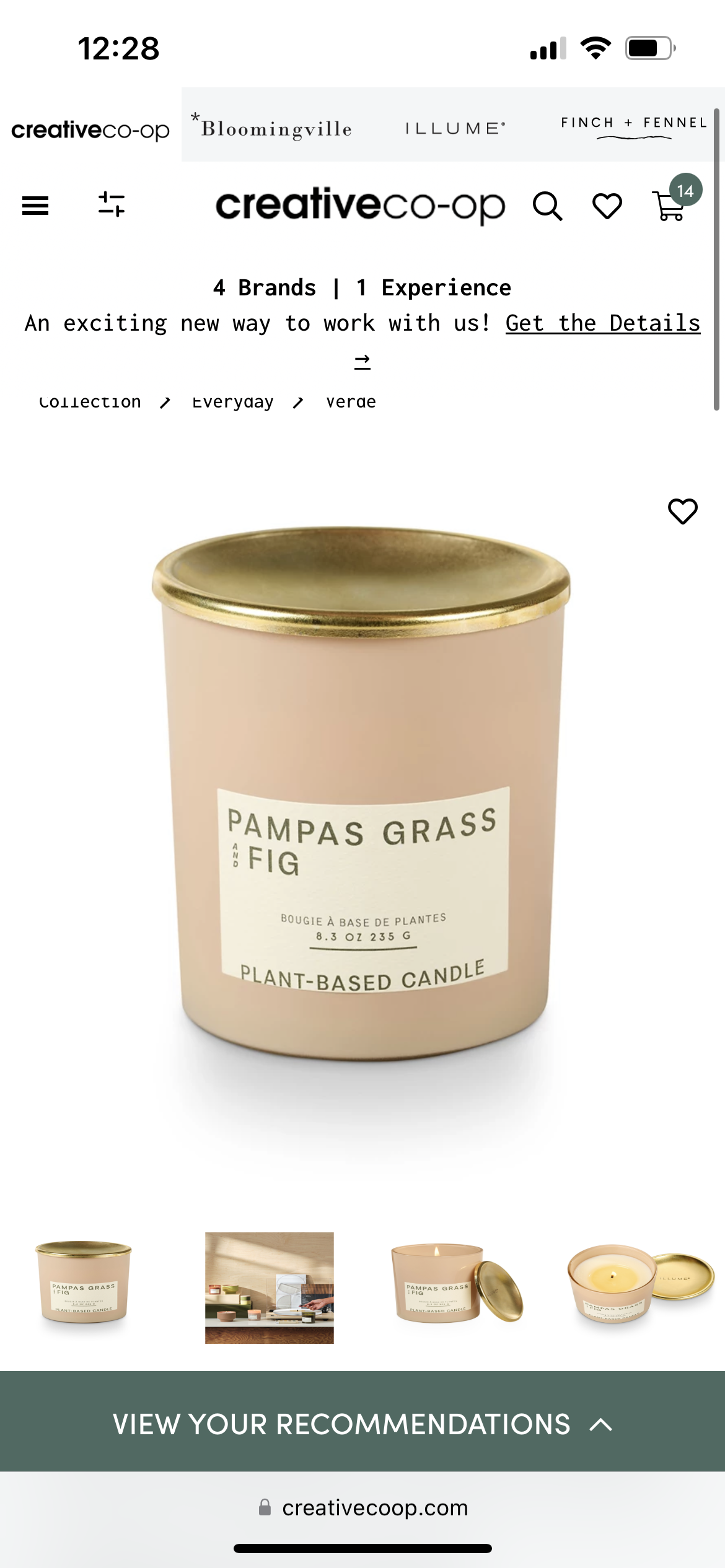 Fig & Pampas Candle