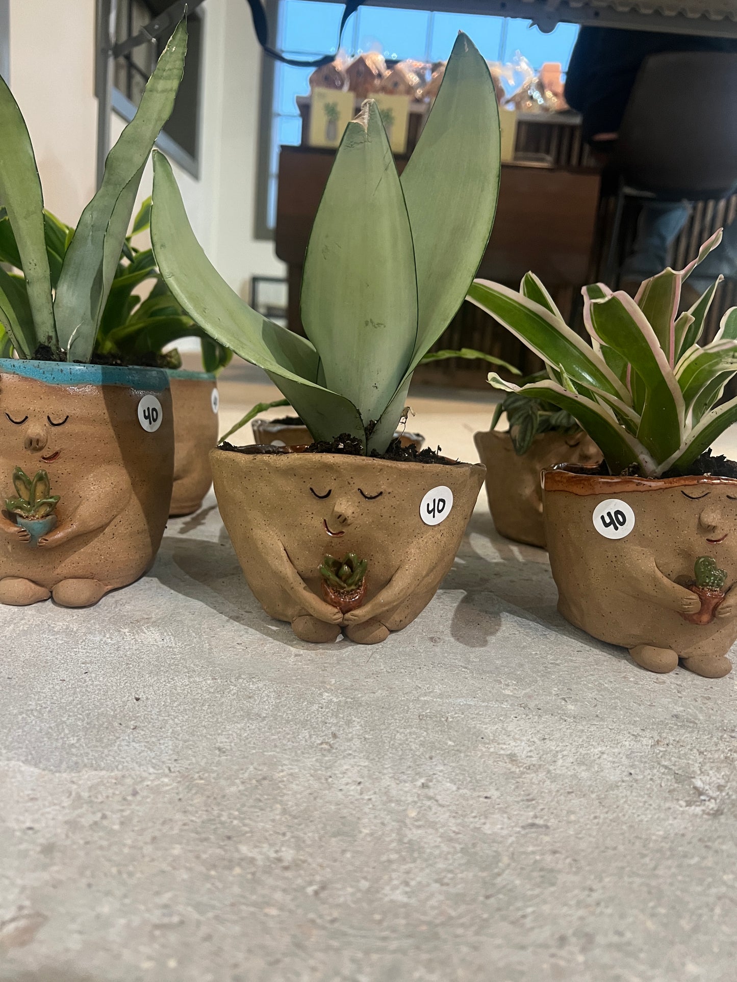 Plants Holding Plants