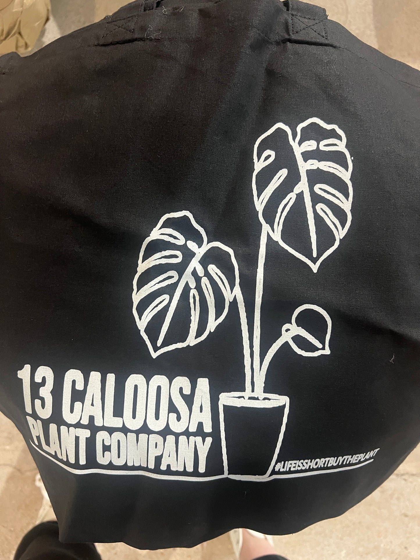 Plant Bag