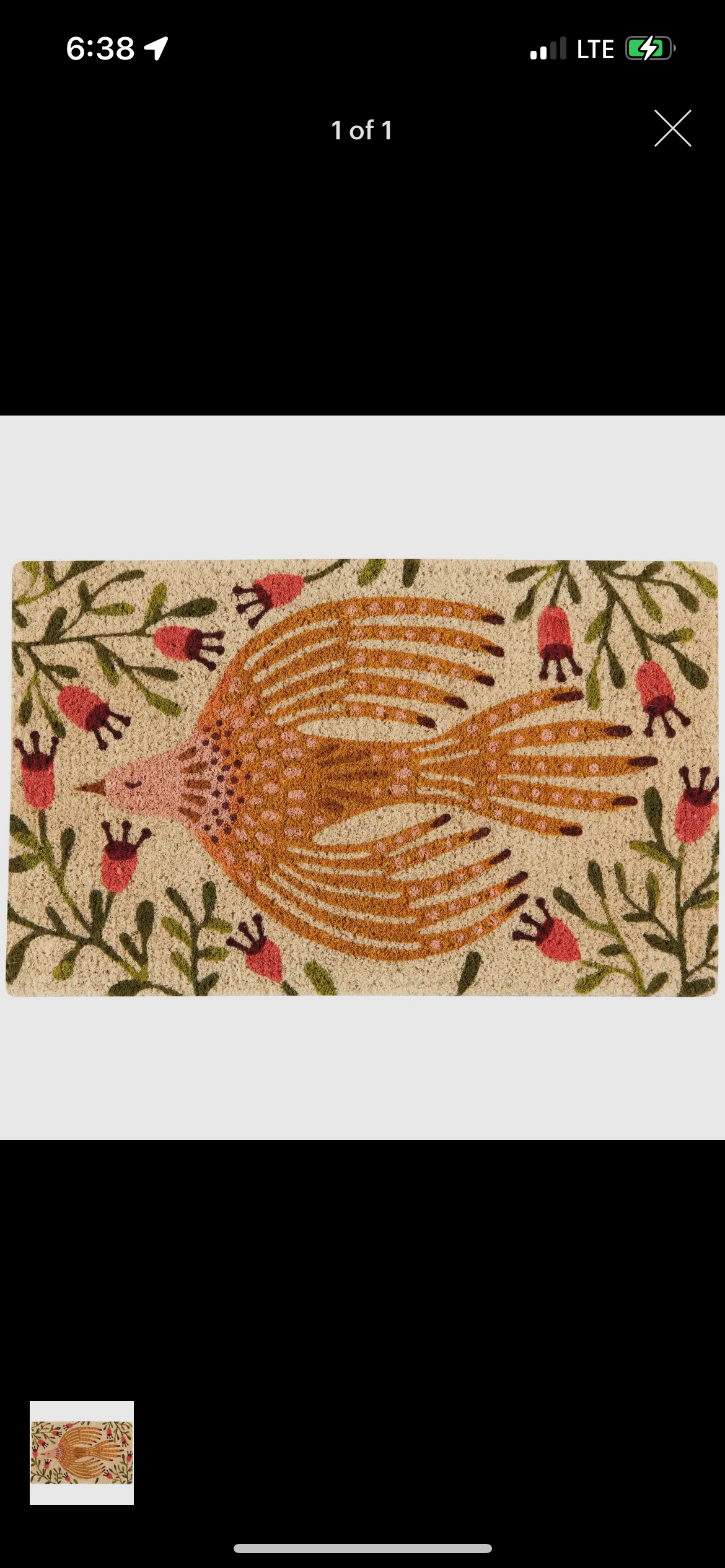 Bird Doormat