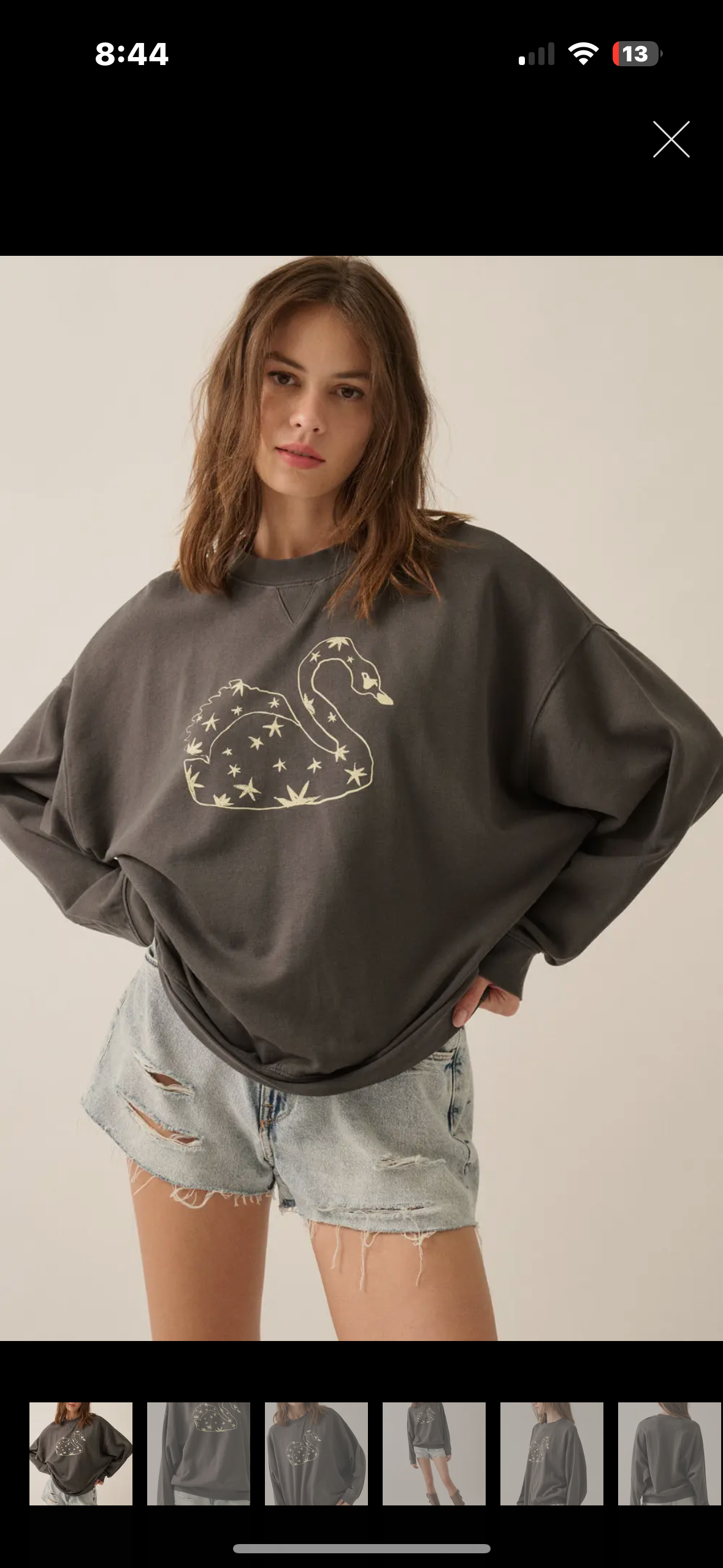oversized swan crewneck