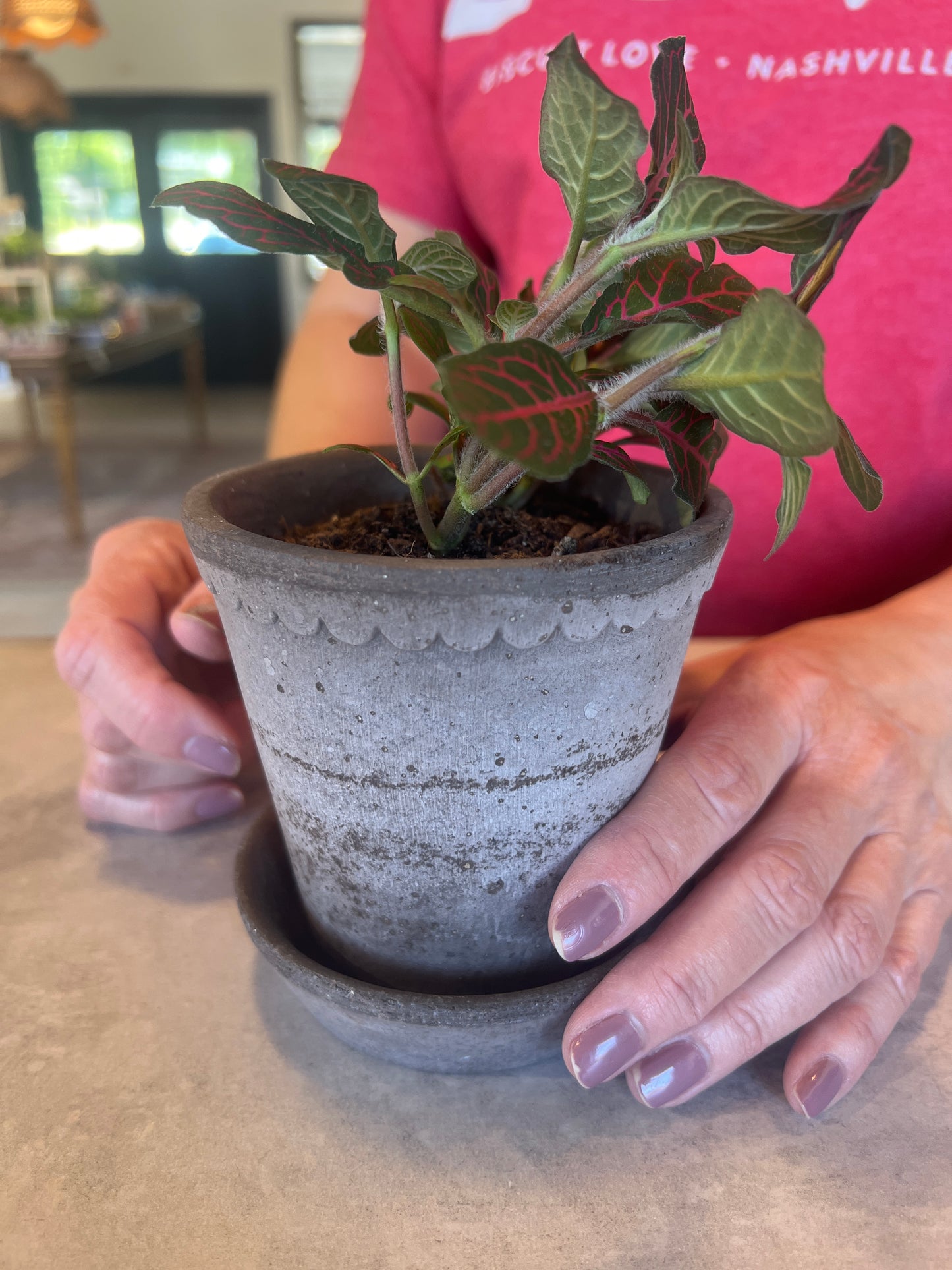 Small Potted Plant