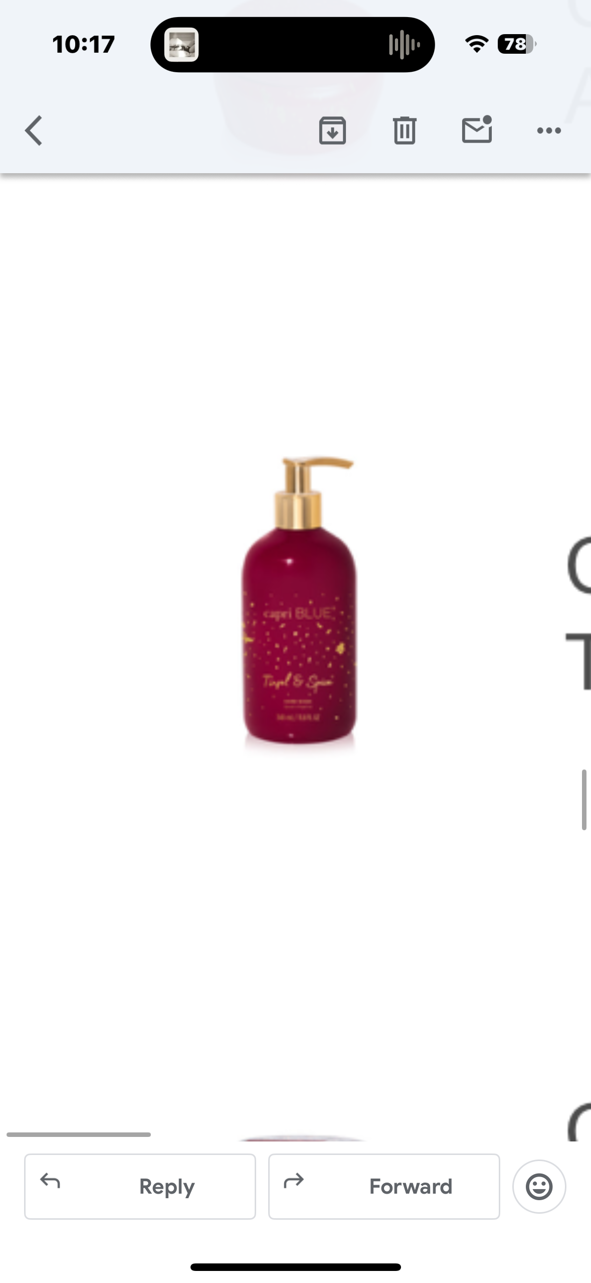 tinsel and spice hand wash