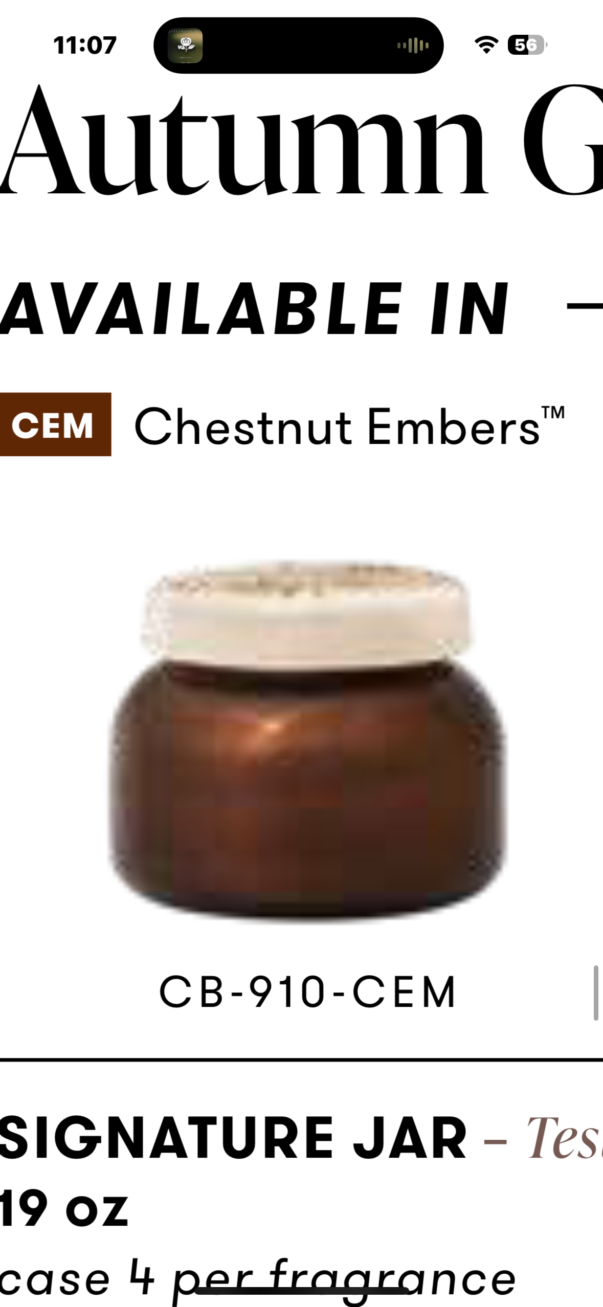 chestnut embers 19oz