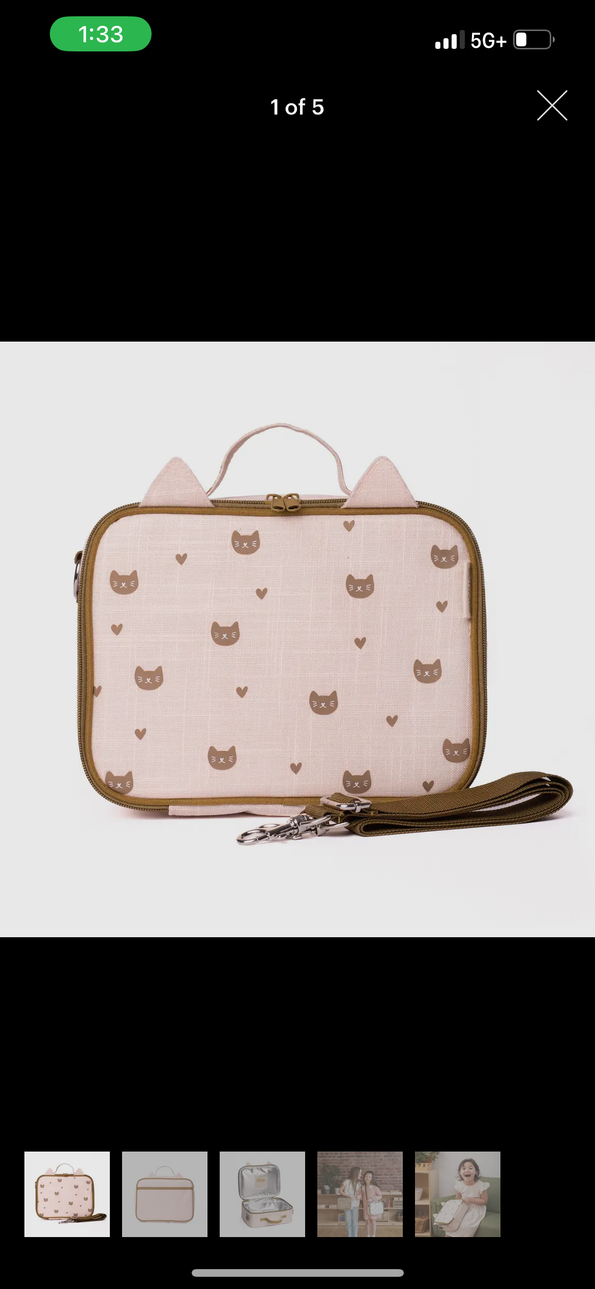 Cat Ears Lunch Box