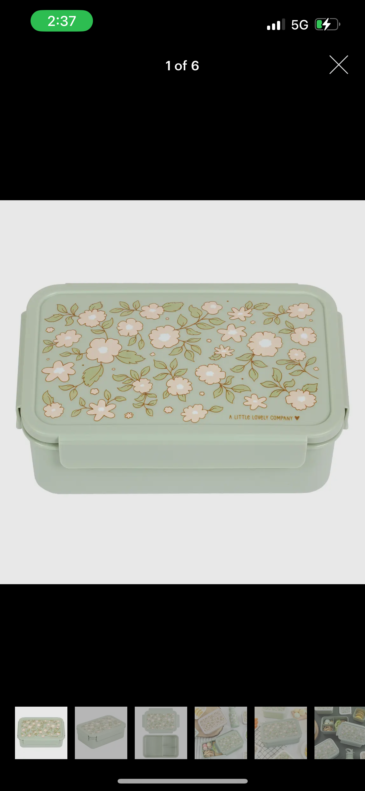Bento Box