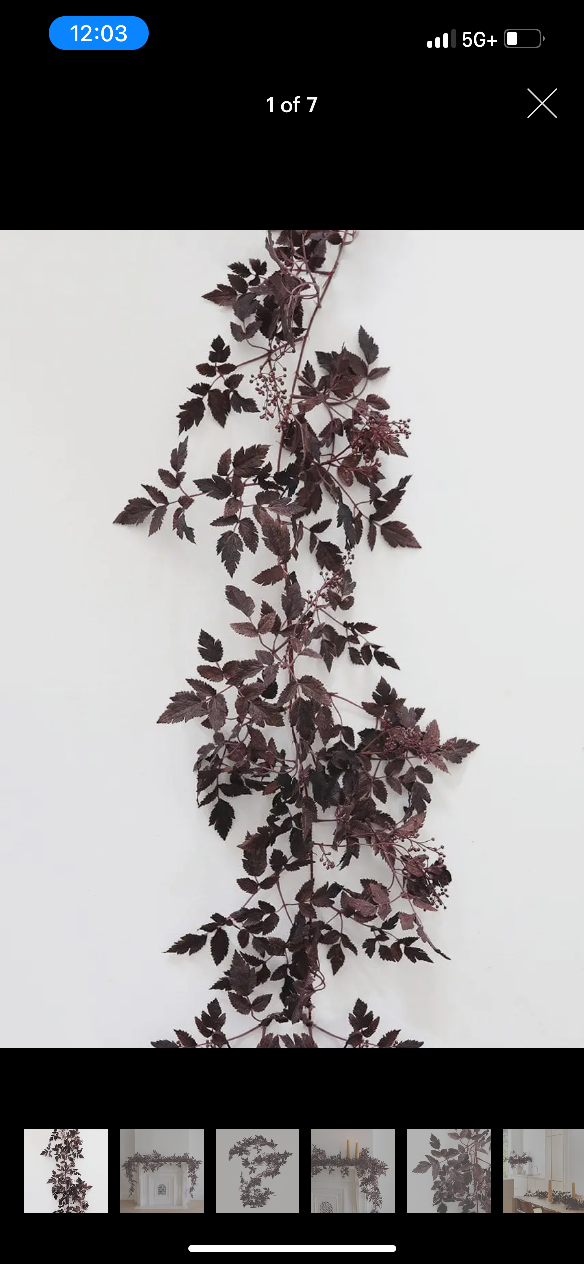 Plum Garland