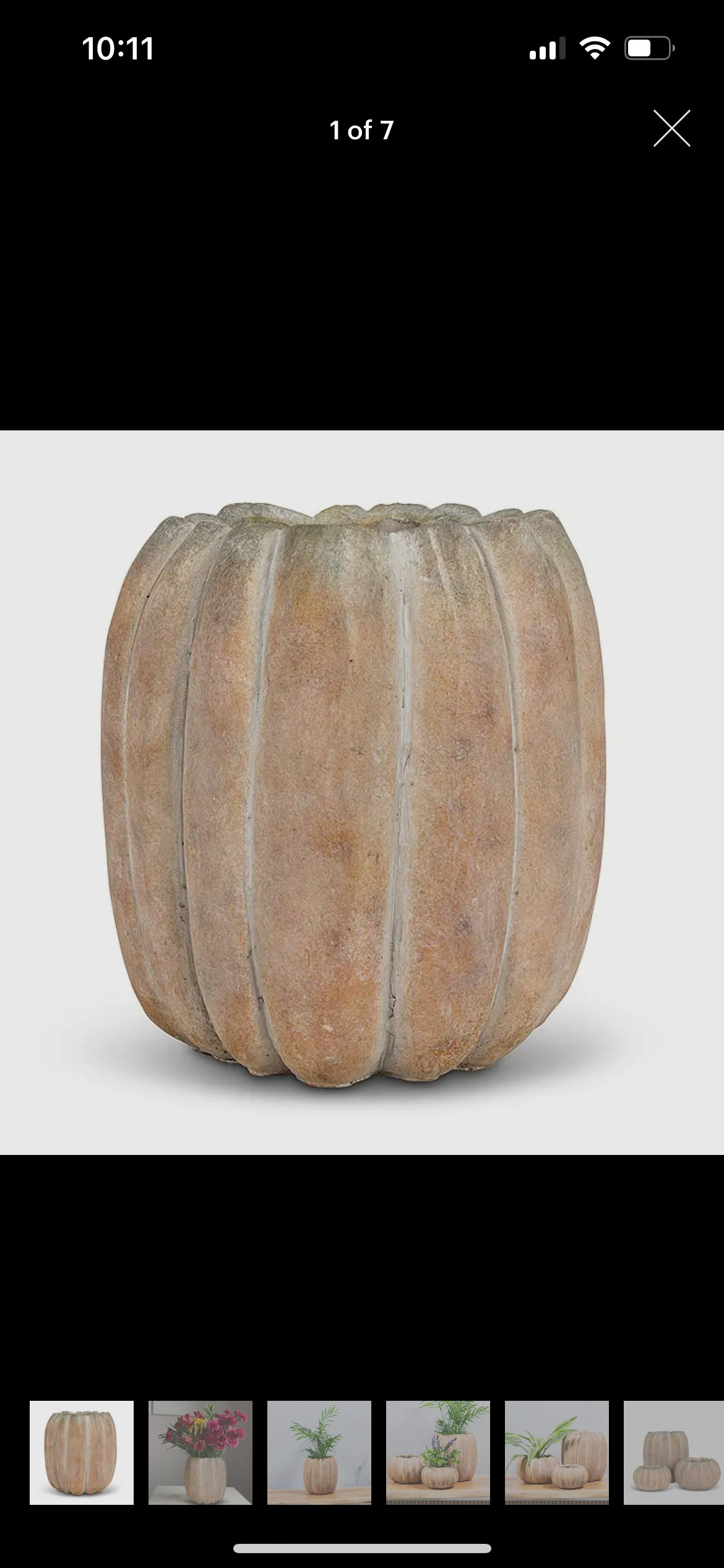 Pumpkin Planter