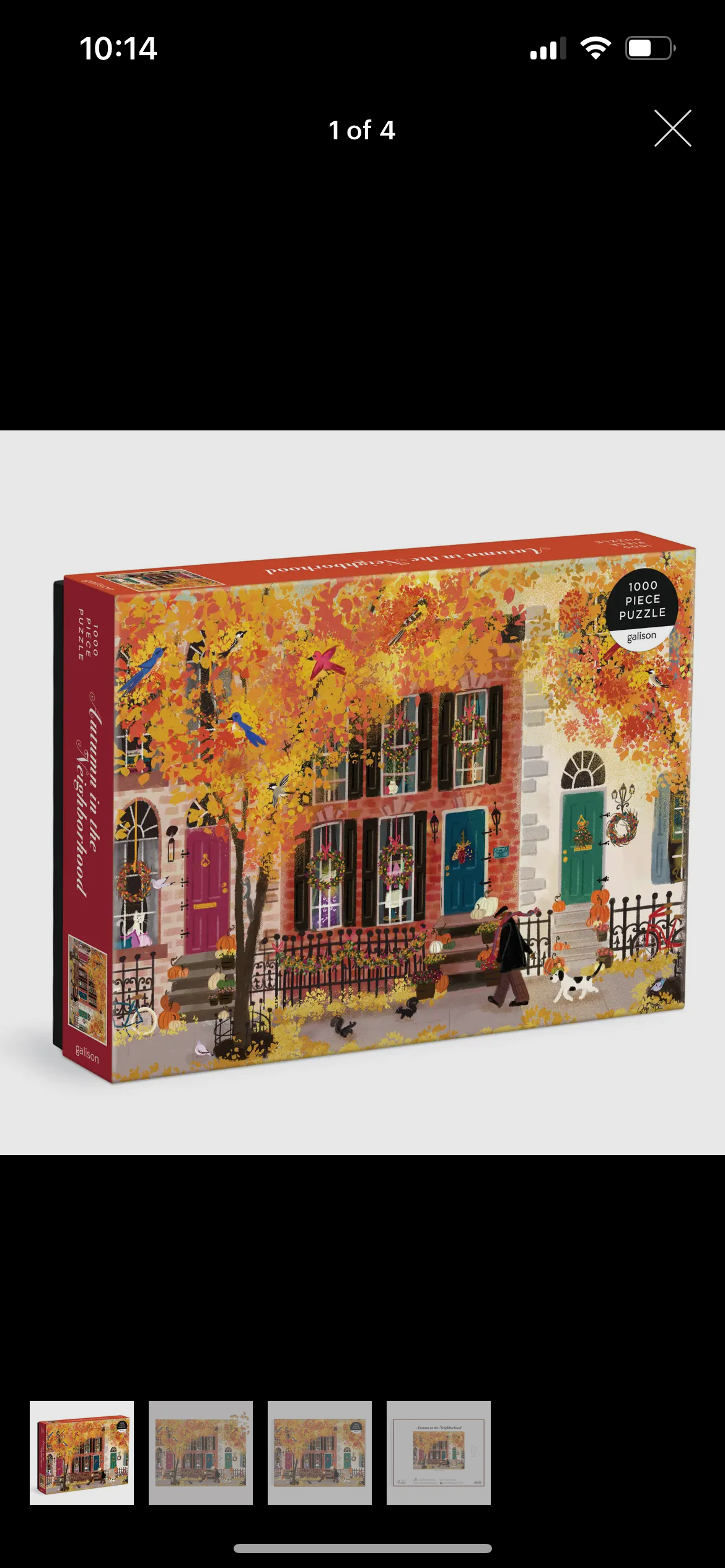 Autumn Neighborhood Puzzle