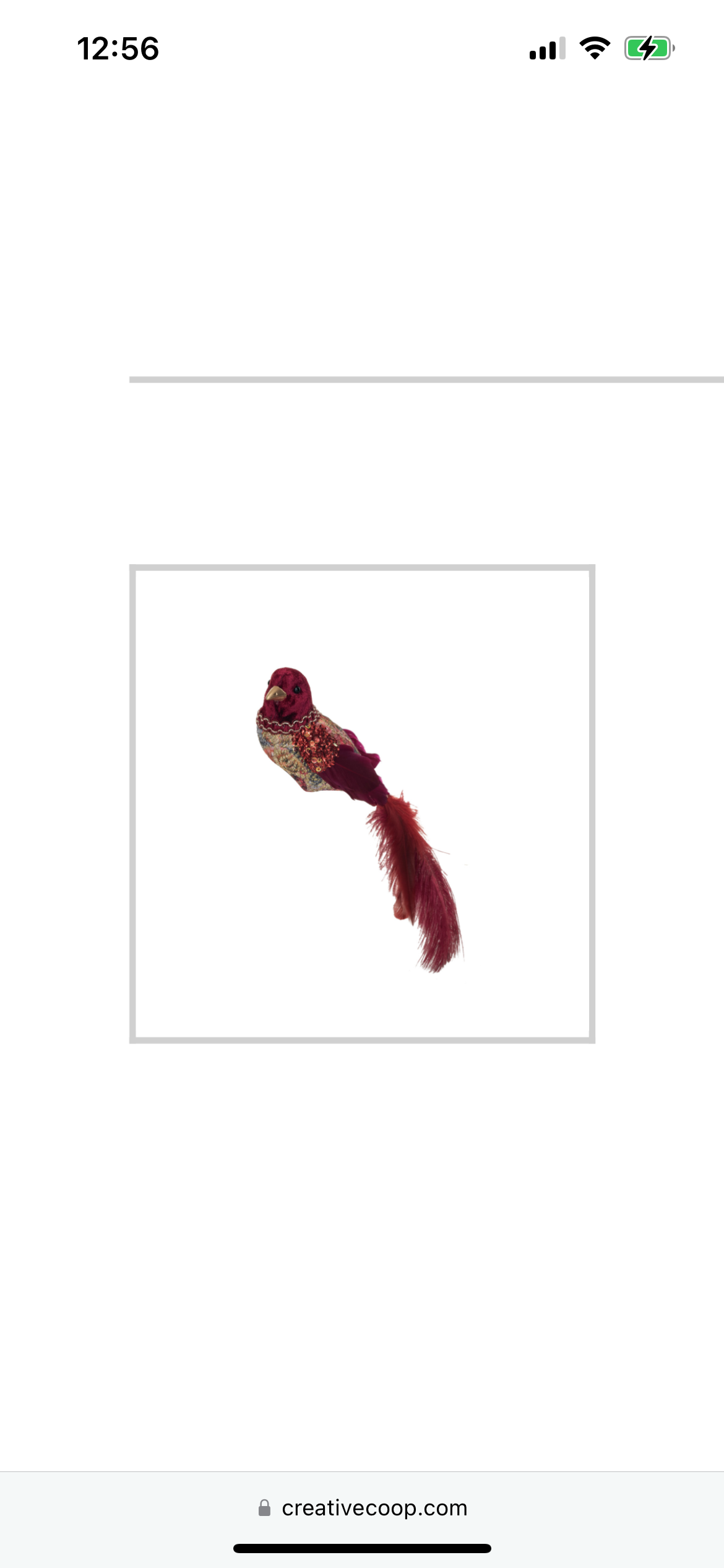 Bird Tree Clip